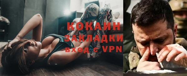 прущие грибы Михайловск