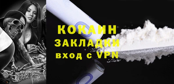прущие грибы Михайловск