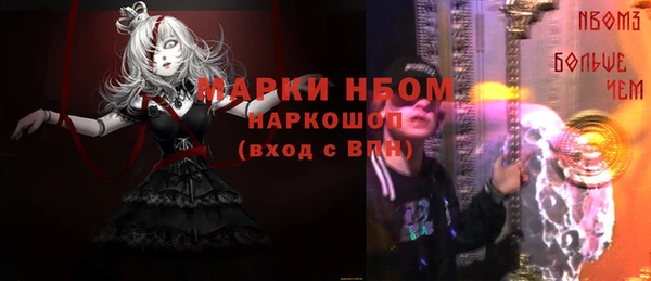 шишки Медногорск