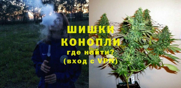 PSILOCYBIN Михайлов