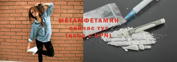 прущие грибы Михайловск