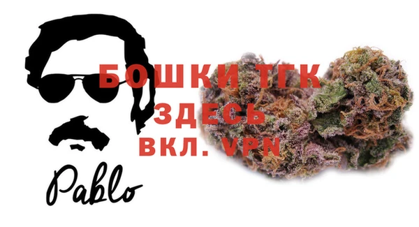 прущие грибы Михайловск