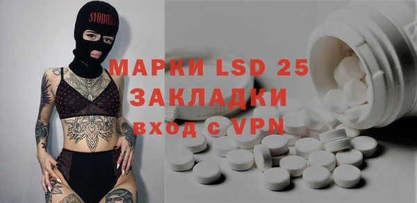 PSILOCYBIN Михайлов
