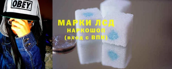 прущие грибы Михайловск