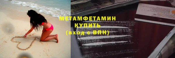 прущие грибы Михайловск