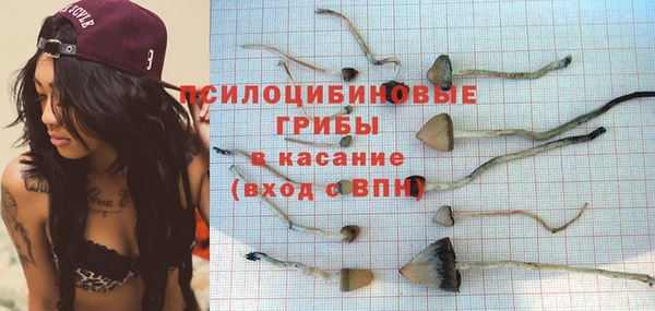 PSILOCYBIN Михайлов