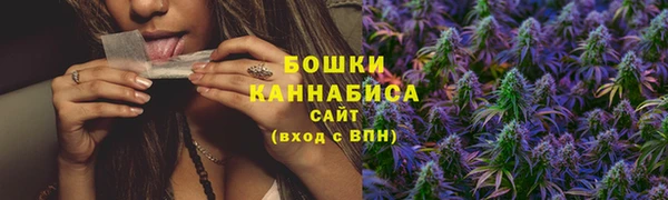 PSILOCYBIN Михайлов