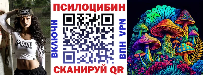 Купить где  Новороссийск  Галлюциногенные грибы Cubensis 